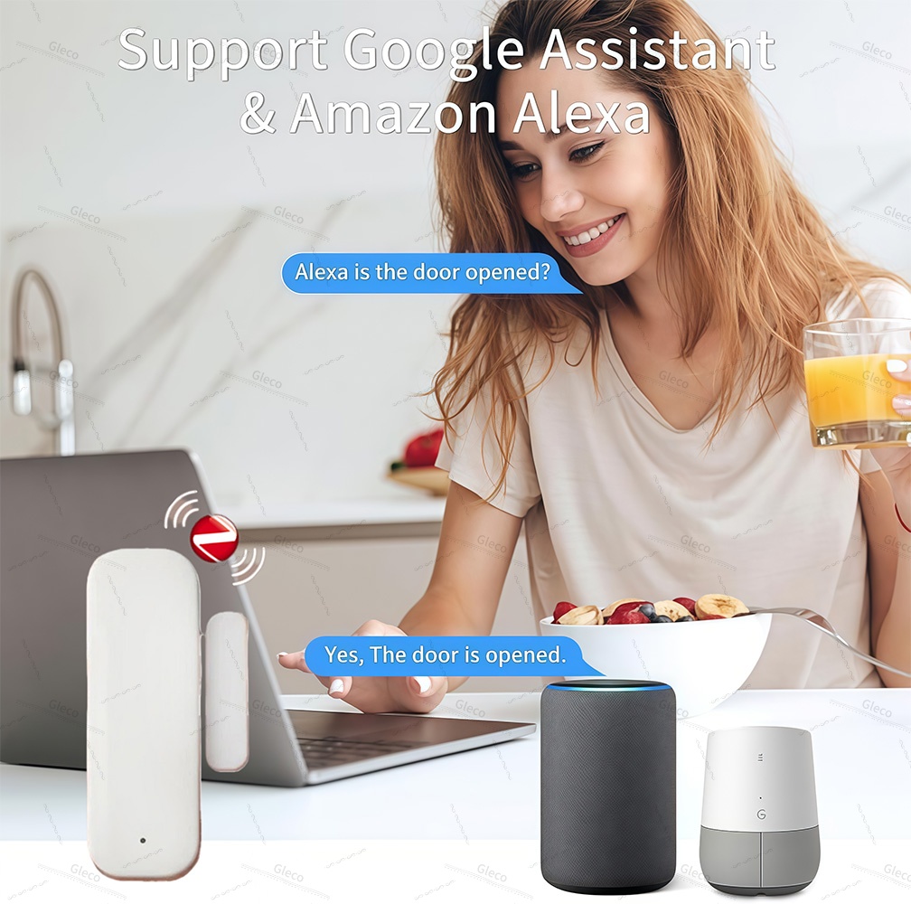 Sensor de puerta y ventana Zig - Home Security Gate reseña y precio