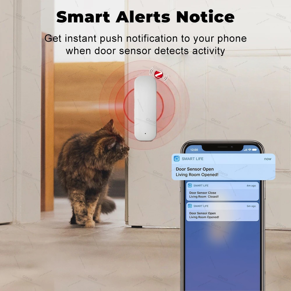 Tuya Zigbee Sensor de ventana  - Home Security Gate reseña y precio